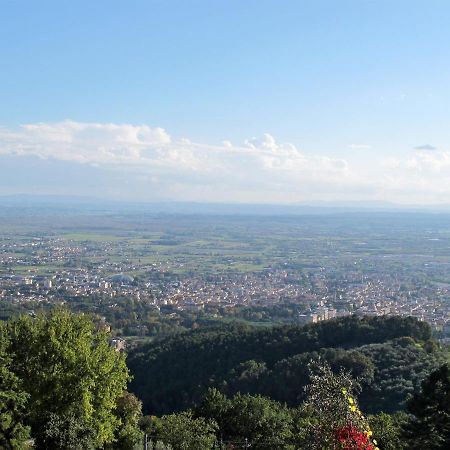 Appartamento Locazione Turistica Borgo della Limonaia-1 Pieve a Nievole Esterno foto
